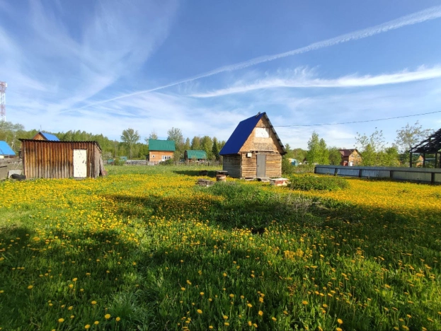 Купить земельный участок в Новосибирске. Вариант № 44454, 3, площадь -  квм, цена 1250000 рублей