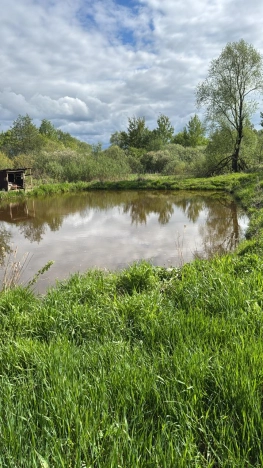 Купить земельный участок на улице Брусничная в Собинке. Вариант № 43773, 3, площадь -  квм, цена 900000 рублей