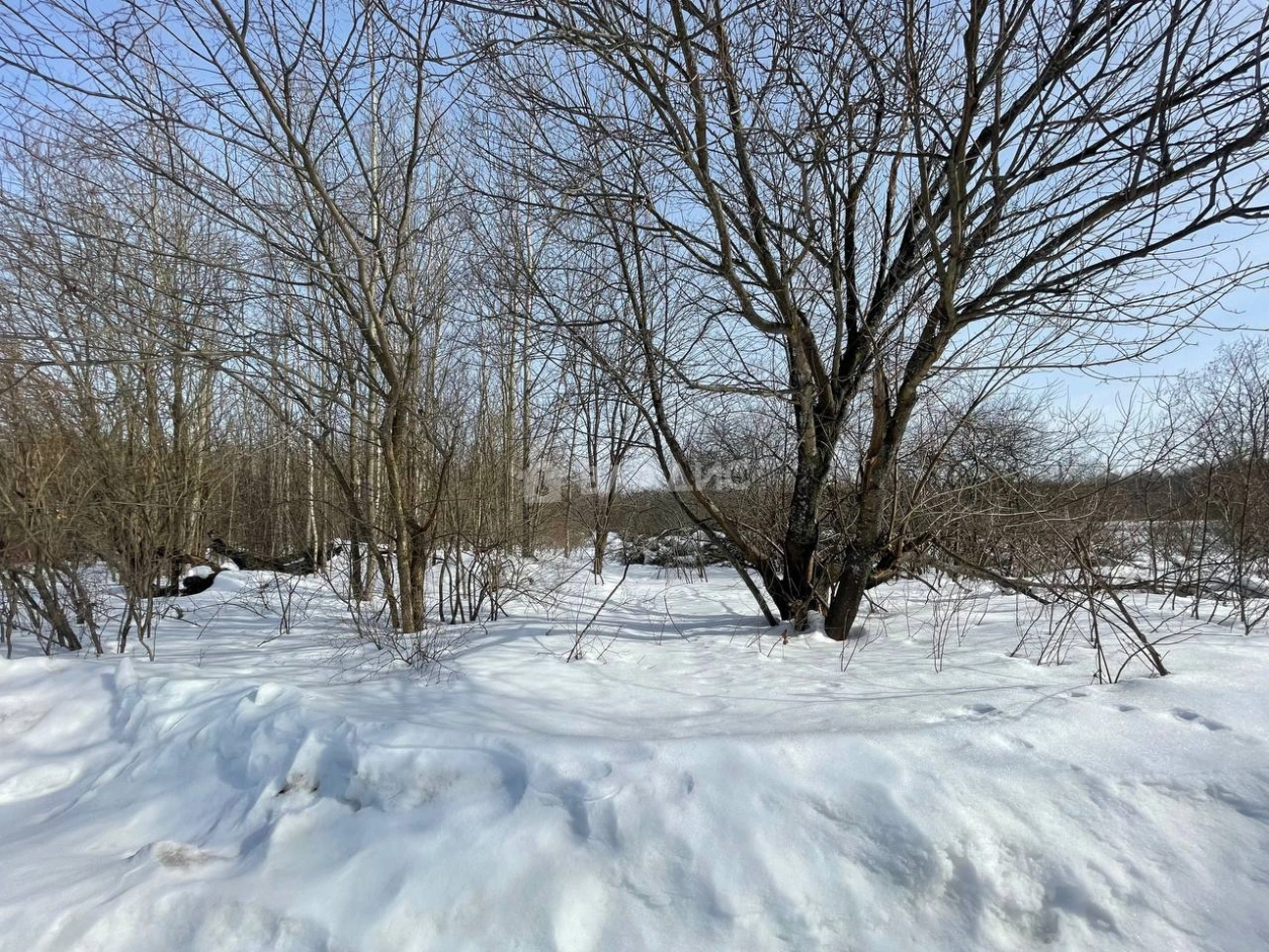 Photo https://36000382-a1c2-4a8a-a109-3fc3bfc73cf7.selcdn.net/App/Entity/ObjectRealty/ObjectRealty/BP/7a1d1893-67ea-49d6-b73e-eb230802a9b6/ZQWQHkPW5zaMOAh7v2G90MNDxhOycrmo6em5KXu4.jpg.compressed.webp