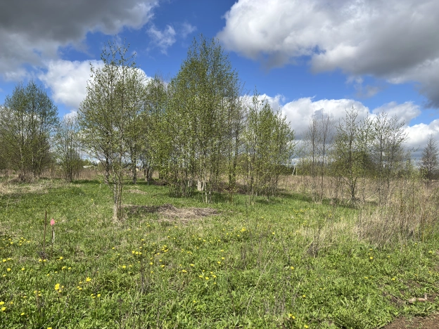 Купить земельный участок в районе Доброе в Владимире. Вариант № 2054464, 6, площадь -  квм, цена 1100000 рублей