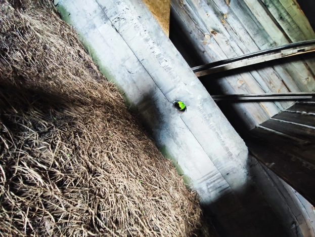 Купить дом в Тюменской области. Вариант № 52233, 10, площадь - квм, цена 850000 рублей