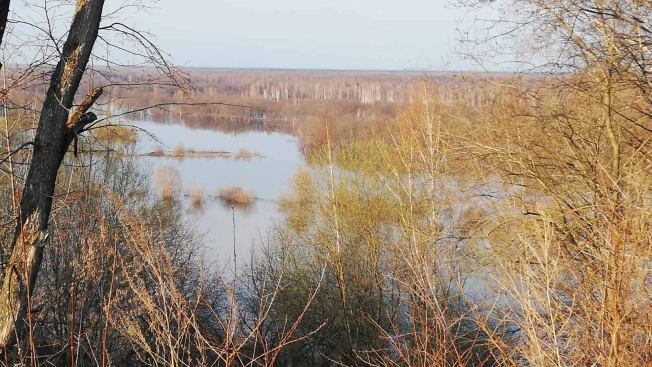 Купить земельный участок в Вязниках. Вариант № 4635, 4, площадь -  квм, цена 4000000 рублей