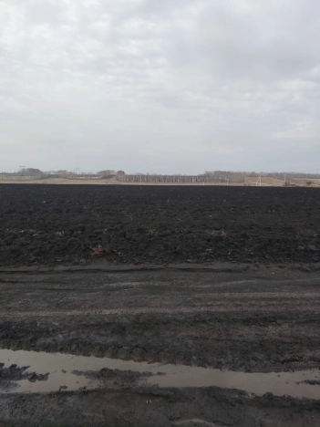 Купить земельный участок в Пензе. Вариант № 29467, 4, площадь -  квм, цена 64500000 рублей