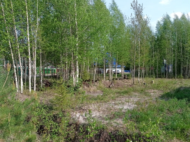 Купить дом в Сыктывкаре. Вариант № 2147, 16, площадь -  квм, цена 3500000 рублей