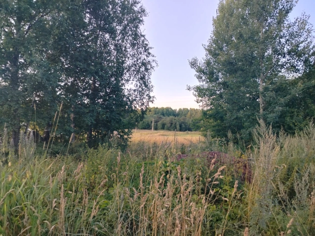 Купить земельный участок в Петрозаводске. Вариант № 8454446, 4, площадь -  квм, цена 2100000 рублей