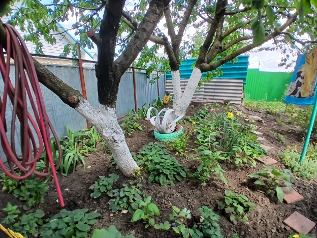 Купить дом на улице Шоссейный переулок в Краснодарском крае. Вариант № 57811, 22, площадь -  квм, цена 5100000 рублей