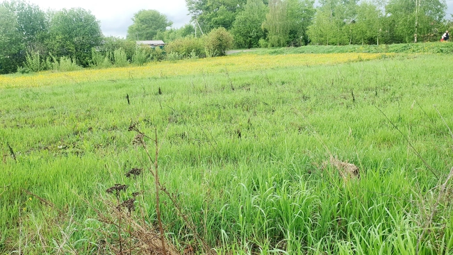 . Вариант № 43949, 2, площадь -  квм, цена 1490000 рублей