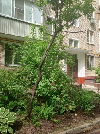 Купить квартиру в районе Бутырский в Москве. Вариант № 56941, 42, площадь - квм, цена 11499000.0000 рублей