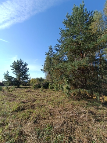 Купить земельный участок на улице Рудничная в Воскресенске. Вариант № 3663501, 3, площадь -  квм, цена 1500000 рублей