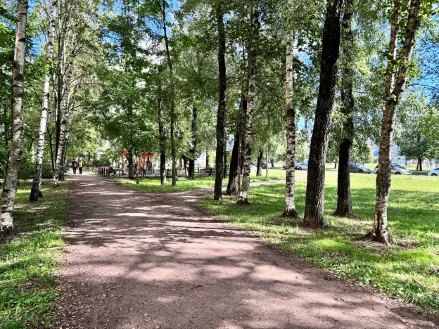 Купить двухкомнатную квартиру на вторичке у метро Проспект Просвещения в Санкт-Петербурге. Вариант № 54163, 29, площадь -  квм, цена 8990000 рублей