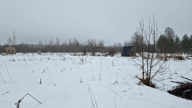 Купить земельный участок в Вологодской области. Вариант № 11988, 4, площадь -  квм, цена 290000 рублей