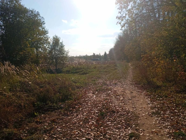 Купить земельный участок на улице Вишнёвая в Суздале. Вариант № 14559, 3, площадь -  квм, цена 568000 рублей