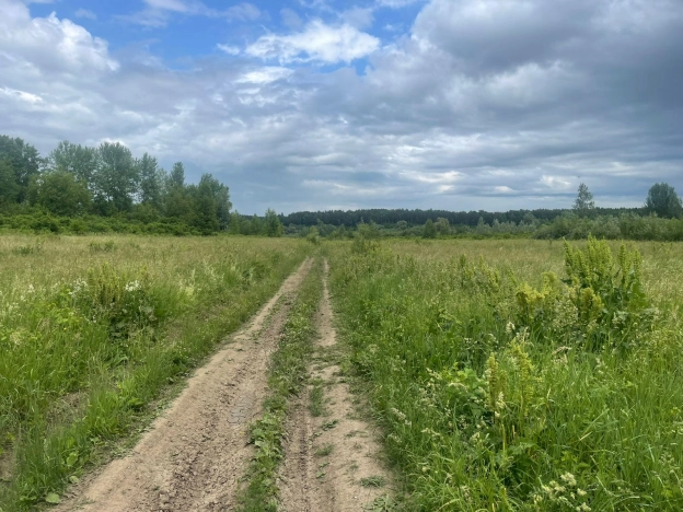 Купить земельный участок в Новосибирске. Вариант № 50415, 1, площадь -  квм, цена 350000 рублей