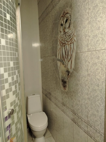 Купить дом в Новосибирске. Вариант № 9864804, 18, площадь -  квм, цена 13500000 рублей