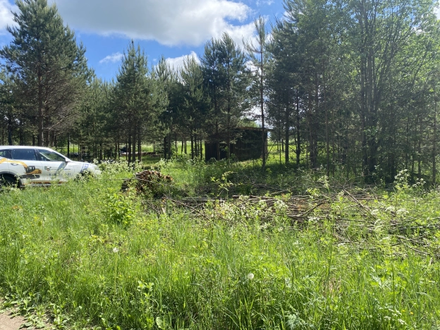 Купить земельный участок в Вологодской области. Вариант № 8738, 17, площадь -  квм, цена 420000 рублей