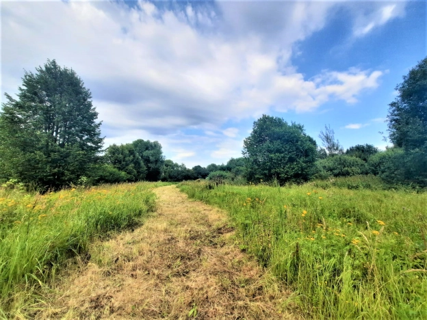 Купить земельный участок в Юрьеве-Польском. Вариант № 2989, 8, площадь -  квм, цена 584000 рублей