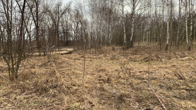 Купить земельный участок в Воронеже. Вариант № 23032, 6, площадь -  квм, цена 1000000 рублей