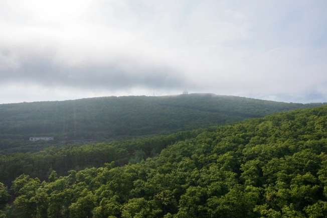 Купить двухкомнатную квартиру в новостройках в Приморском крае. Вариант № 4137515, 2, площадь -  квм, цена 10592700 рублей