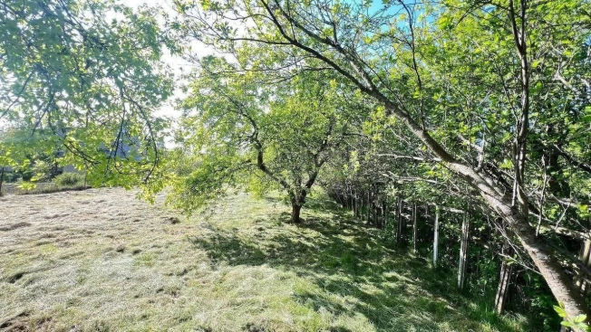 Купить земельный участок в Зеленоградске. Вариант № 47626, 1, площадь -  квм, цена 3450000 рублей