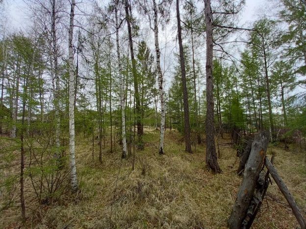 Купить земельный участок в Иркутской области. Вариант № 1146, 14, площадь - квм, цена 250000 рублей