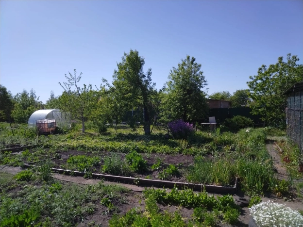 Купить дачу в Воронеже. Вариант № 42925, 25, площадь - квм, цена 2100000 рублей