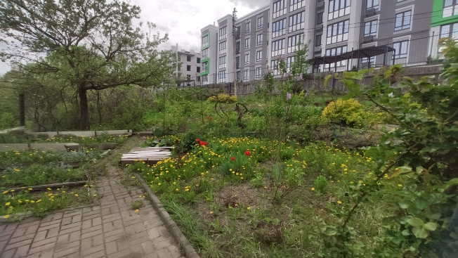 Купить дом в Брянской области. Вариант № 40605, 22, площадь -  квм, цена 20500000 рублей