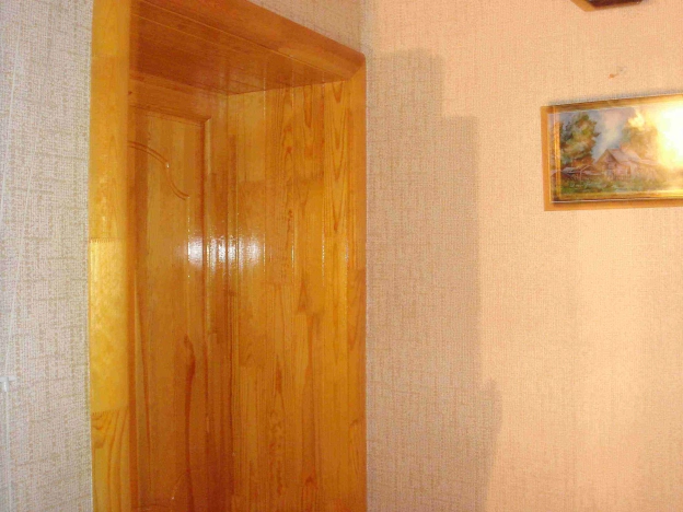 Купить однокомнатную квартиру на вторичке на улице Светлая в Новосибирской области. Вариант № 2720369, 2, площадь -  квм, цена 1200000 рублей