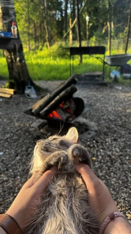 Купить дом в Москве. Вариант № 8870604, 7, площадь -  квм, цена 8100000 рублей