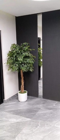 Купить однокомнатную квартиру в Новосибирской области. Вариант № 9563922, 10, площадь -  квм, цена 6000000 рублей