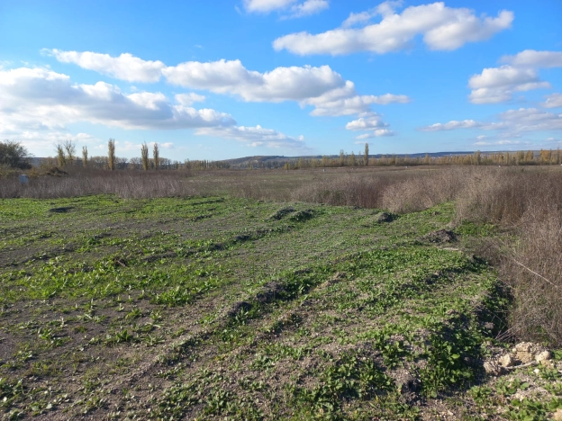 Купить земельный участок в Новороссийске. Вариант № 8384742, 8, площадь -  квм, цена 3700000 рублей