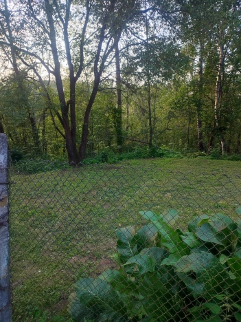 Купить дачу в Москве. Вариант № 7645049, 19, площадь -  квм, цена 4200000 рублей