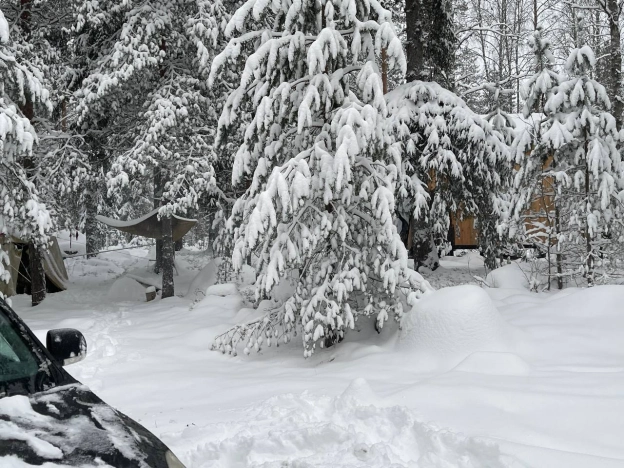 Купить земельный участок у метро Рыбацкое в Ленинградской области. Вариант № 8549, 20, площадь -  квм, цена 5000000 рублей