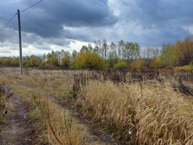Купить земельный участок в Нижегородской области. Вариант № 31790, 11, площадь -  квм, цена 1452000 рублей