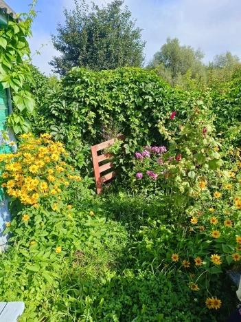 Купить дачу в Луховицах. Вариант № 9166057, 4, площадь -  квм, цена 350000 рублей