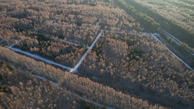 Купить земельный участок на улице Светлая в Рязанской области. Вариант № 9202, 22, площадь -  квм, цена 550000 рублей