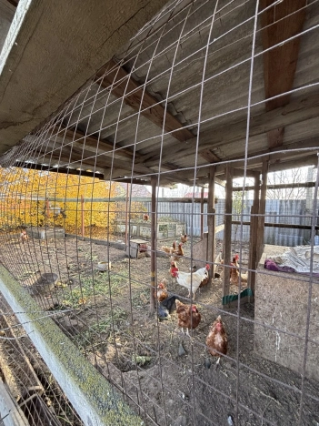 Купить дом в Курской области. Вариант № 54476, 36, площадь -  квм, цена 10750000 рублей