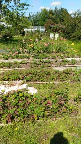 Купить дом в Москве. Вариант № 9581514, 0, площадь -  квм, цена 1650000 рублей