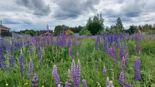Купить земельный участок на улице Клюквенная в Владимире. Вариант № 50568, 0, площадь -  квм, цена 2100000 рублей