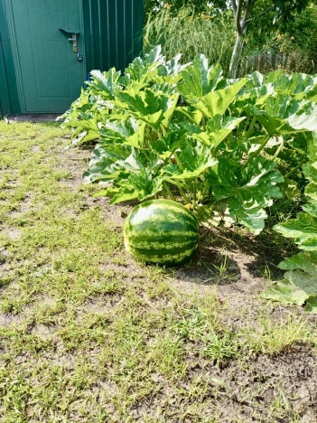 Купить дачу в Калининграде. Вариант № 7907028, 9, площадь -  квм, цена 4150000 рублей