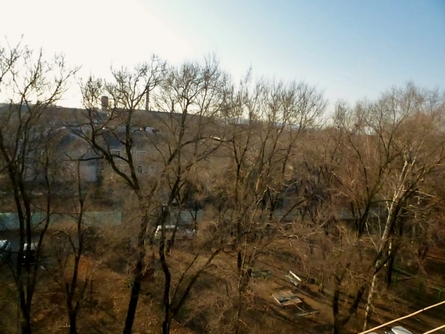 Купить четырехкомнатную квартиру в Приморском крае. Вариант № 8141, 20, площадь -  квм, цена 7350000 рублей