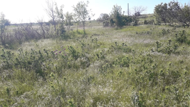 Купить земельный участок в Керчи. Вариант № 5806, 7, площадь -  квм, цена 700000 рублей