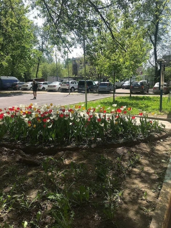 Купить квартиру в Москве. Вариант № 56094, 18, площадь - квм, цена 33000000.0000 рублей