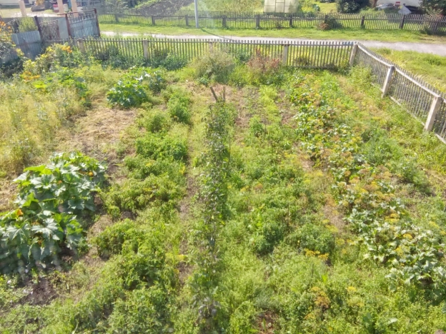 Купить дом на улице Совхозная в Тюменской области. Вариант № 2924703, 16, площадь -  квм, цена 2500000 рублей