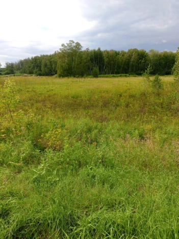 Купить земельный участок в Новосибирске. Вариант № 10650, 1, площадь -  квм, цена 599000 рублей