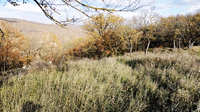 Купить земельный участок в Республике Крым. Вариант № 20225, 4, площадь -  квм, цена 4800000 рублей