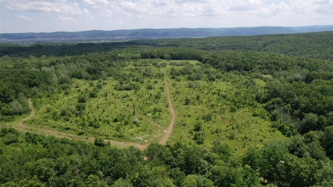 Купить земельный участок на улице Заречная в Республике Адыгея (адыгея). Вариант № 10469736, 2, площадь -  квм, цена 35000000 рублей