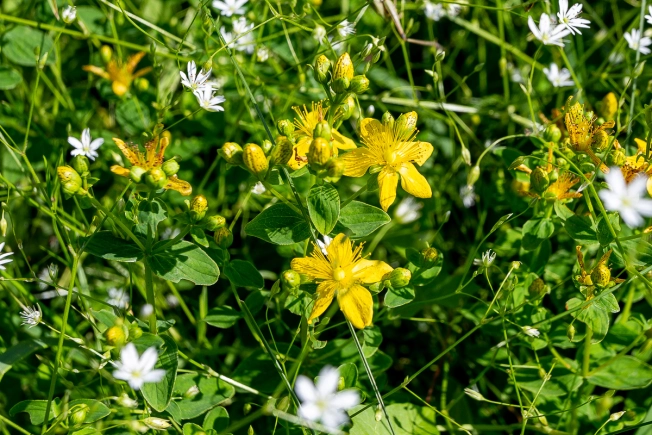 Купить земельный участок в районе Октябрьский в Владимире. Вариант № 2069481, 4, площадь -  квм, цена 1470000 рублей