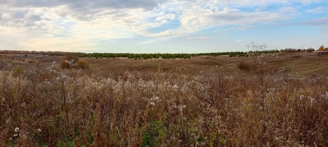 Купить земельный участок на улице Янтарная в Республике Татарстан (татарстан). Вариант № 3376340, 3, площадь -  квм, цена 1600000 рублей