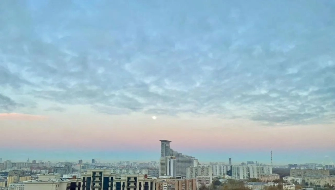 Купить квартиру в Москве. Вариант № 8173097, 0, площадь -  квм, цена 39999993 рублей