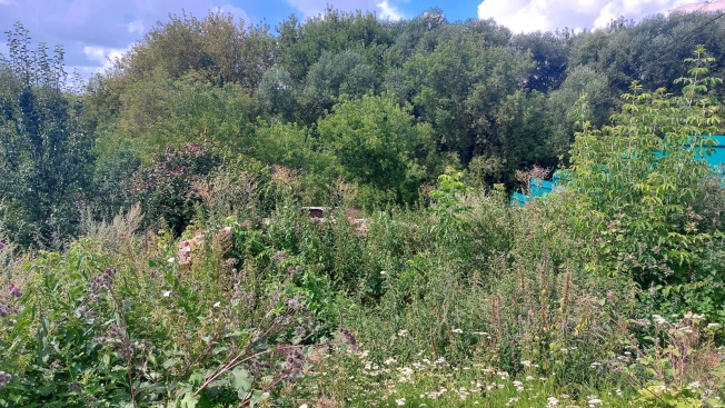 Купить земельный участок на улице Киёвский проезд в Калуге. Вариант № 12892, 5, площадь - квм, цена 7200000 рублей